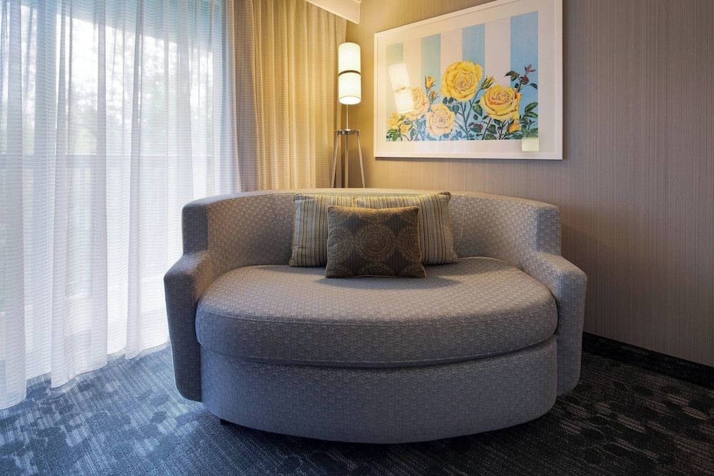 Room, 1 King Bed with Sofa bed (Hearing Accessible)