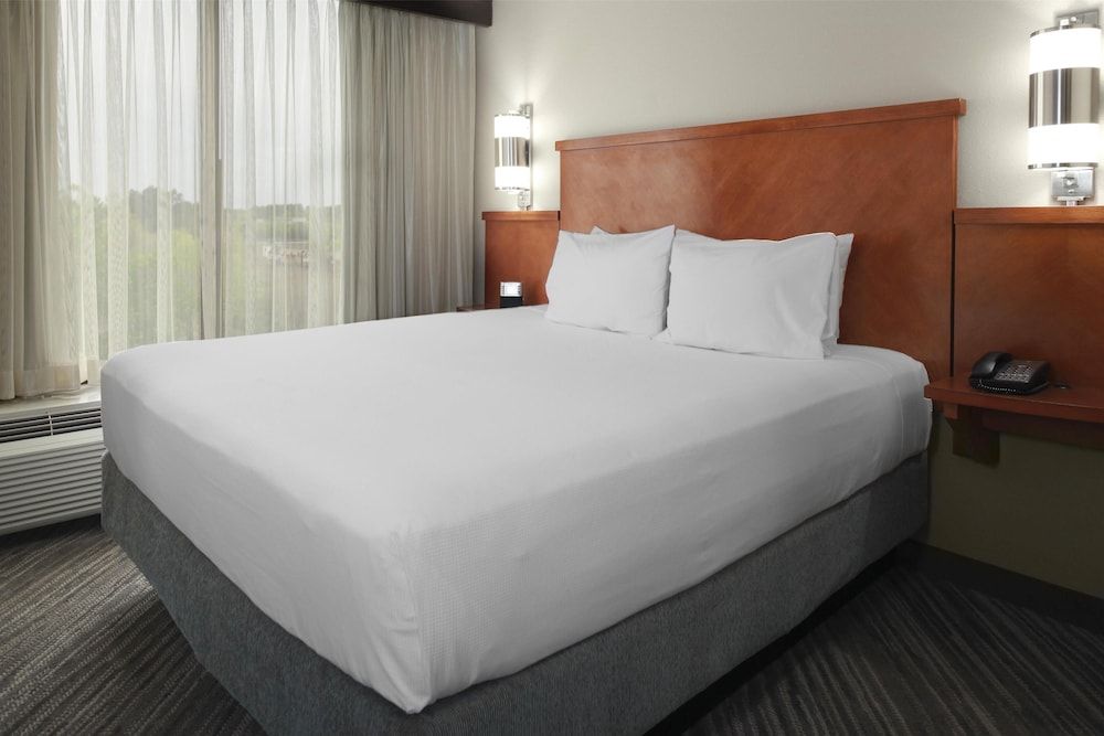 Room, 1 King Bed with Sofa bed (Specialty)