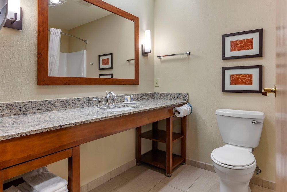 Suite, 1 King Bed with Sofa bed, Non Smoking