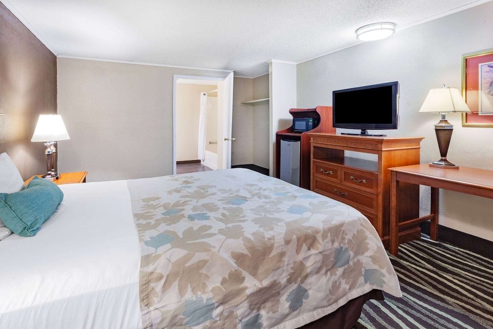 Room, 1 Queen Bed, Non Smoking (Efficiency)