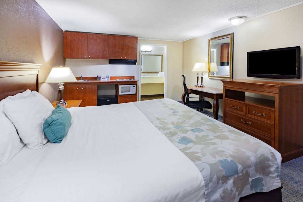 Room, 1 King Bed, Non Smoking (Efficiency)