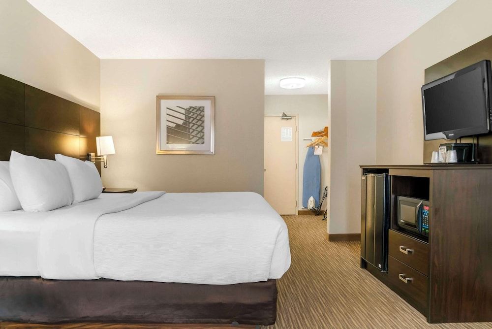 Standard Room, 1 King Bed, Non Smoking