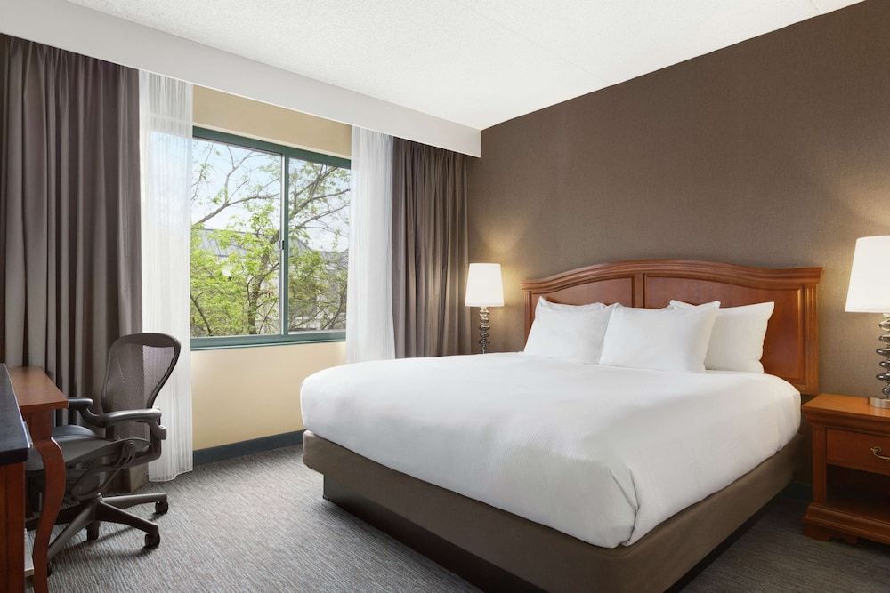 Junior Suite, 1 King Bed