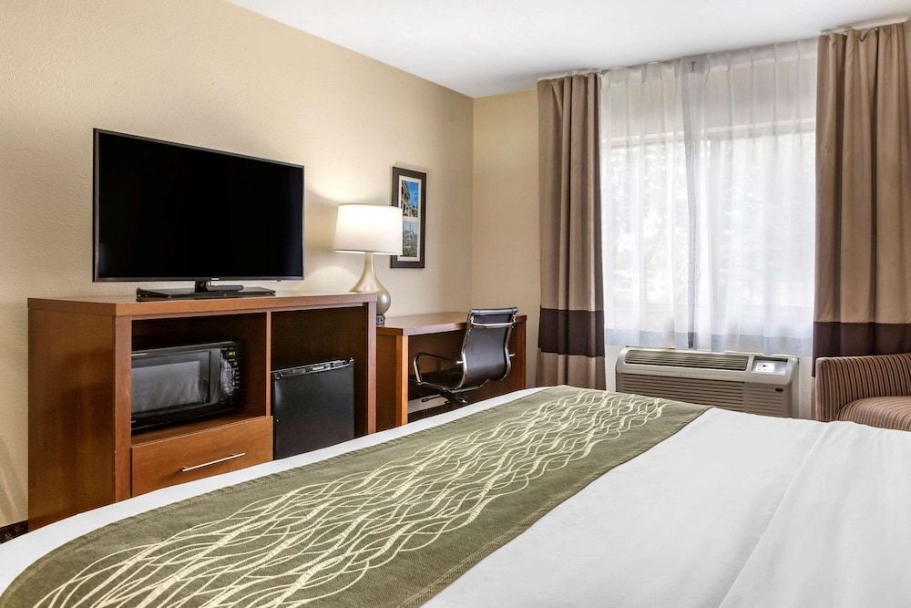 Room, 1 King Bed, Accessible, Non Smoking