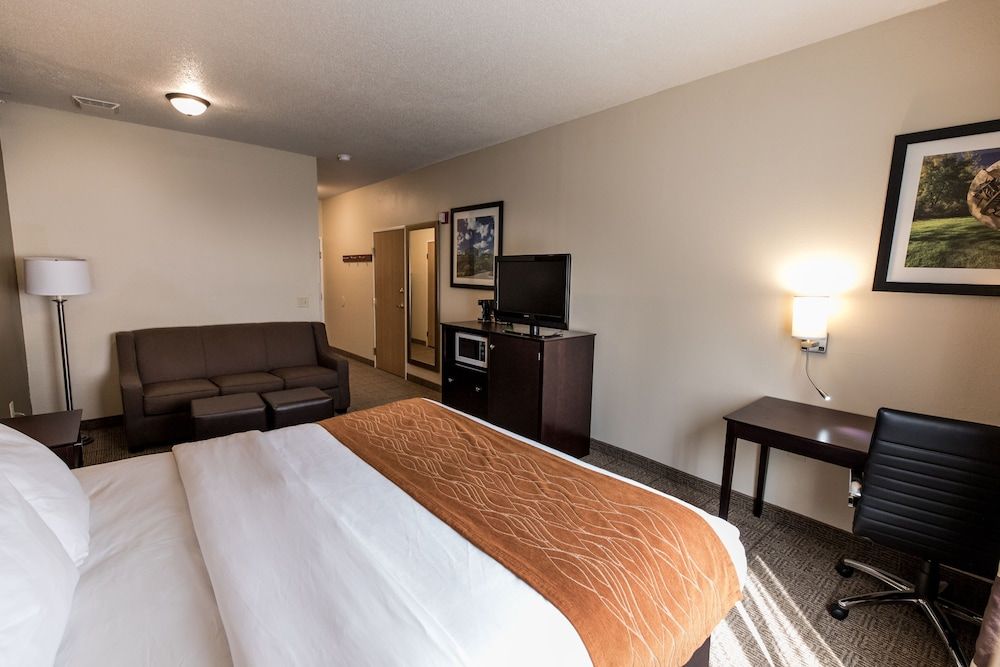 Standard Room, 1 King Bed with Sofa bed, Accessible, Non Smoking (Roll-In Shower)