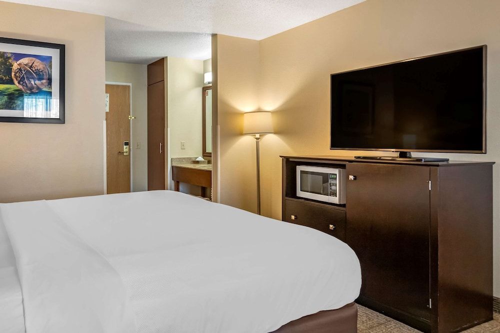 Standard Room, 1 King Bed, Non Smoking