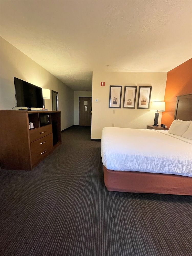 Room, 1 King Bed, Non Smoking