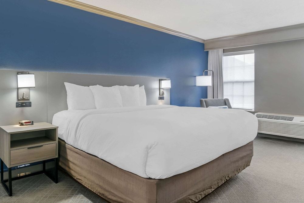 Standard Room, 1 King Bed, Non Smoking