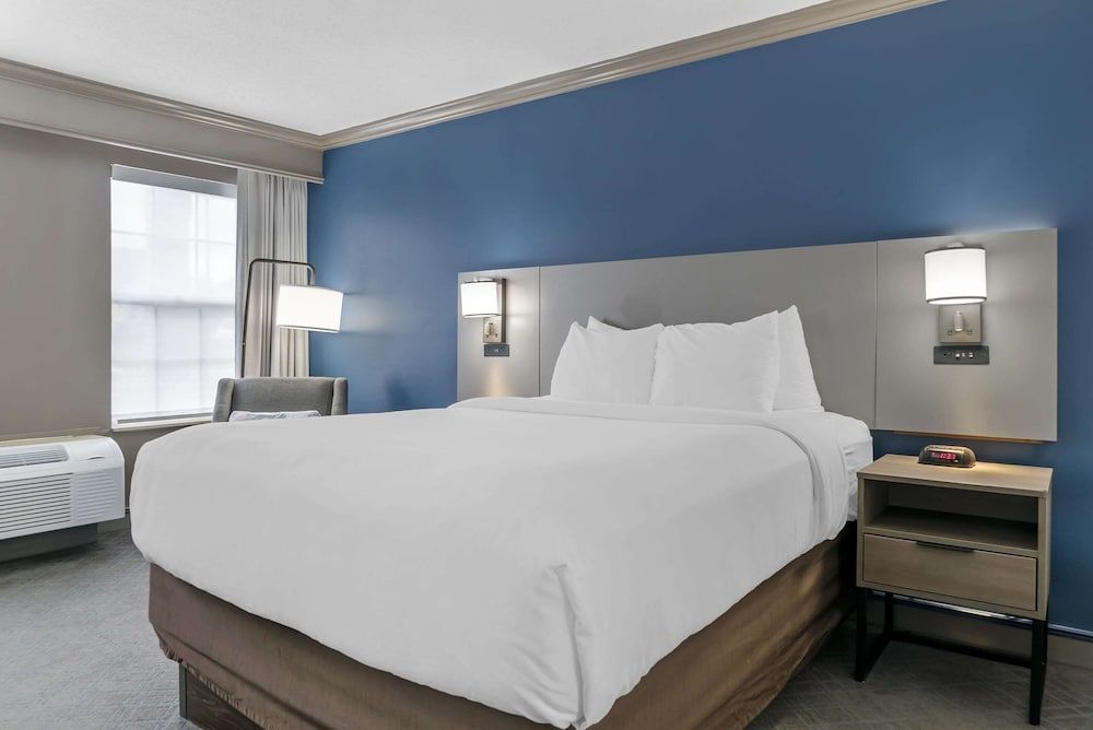 Standard Room, 1 King Bed with Sofa bed, Non Smoking