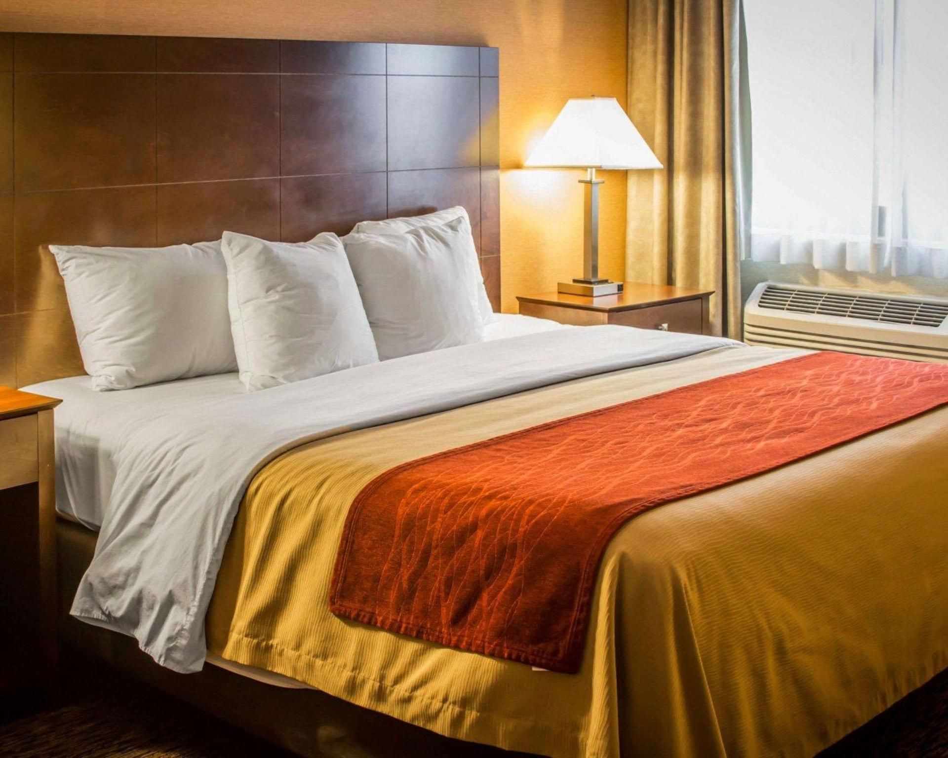 1 King Bed, Nonsmoking, Accessible