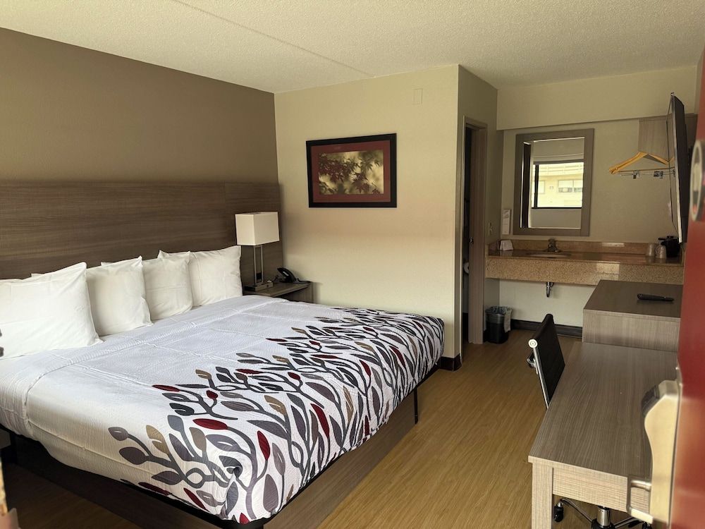 Red Roof Inn Detroit-Rochester Hills/Auburn Hills Deluxe Room, 1 King Bed, Accessible (Roll-In Shower, Smoke Free) 3