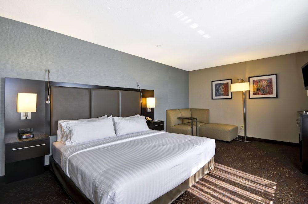 Standard Room, 1 King Bed, Accessible (Mobility, Accessible Tub)