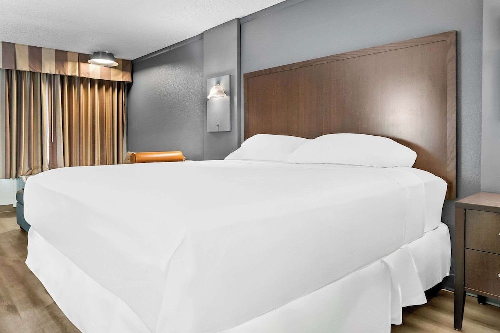 Rodeway Inn & Suites Standard Room, 1 King Bed, Smoking