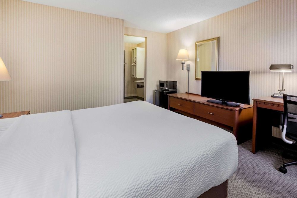 Room, 1 King Bed, Non Smoking