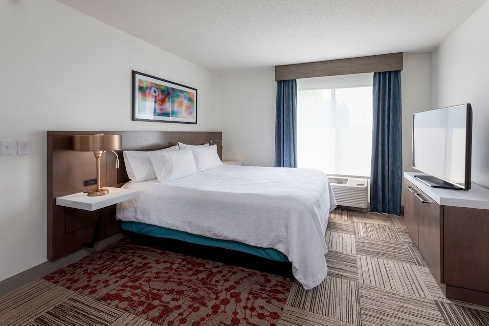 Room, 1 King Bed with Sofa bed