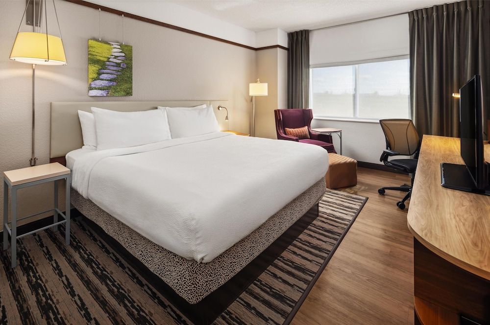 Room, 1 King Bed