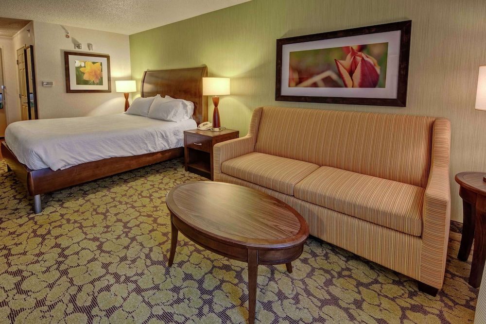 Room, 1 King Bed with Sofa bed, Accessible (Hearing)