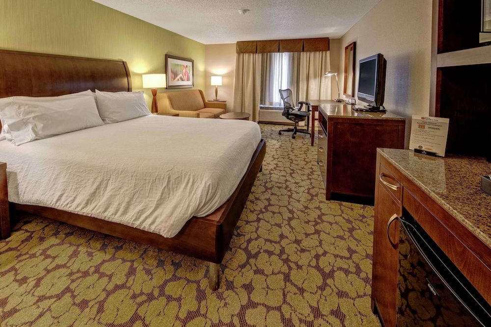 Room, 1 King Bed with Sofa bed