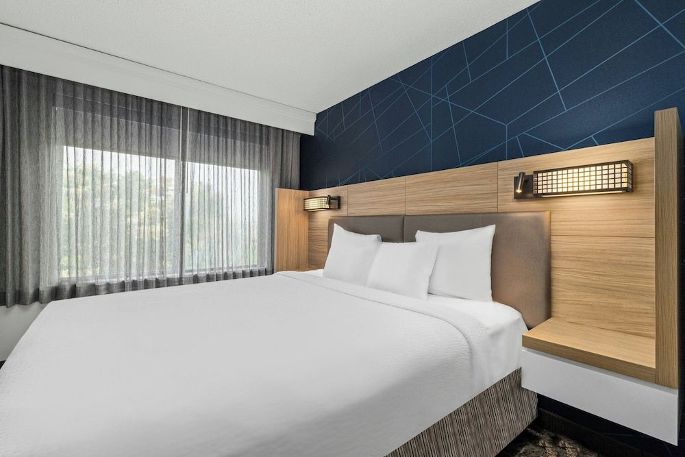 Executive Suite, 1 King Bed with Sofa bed