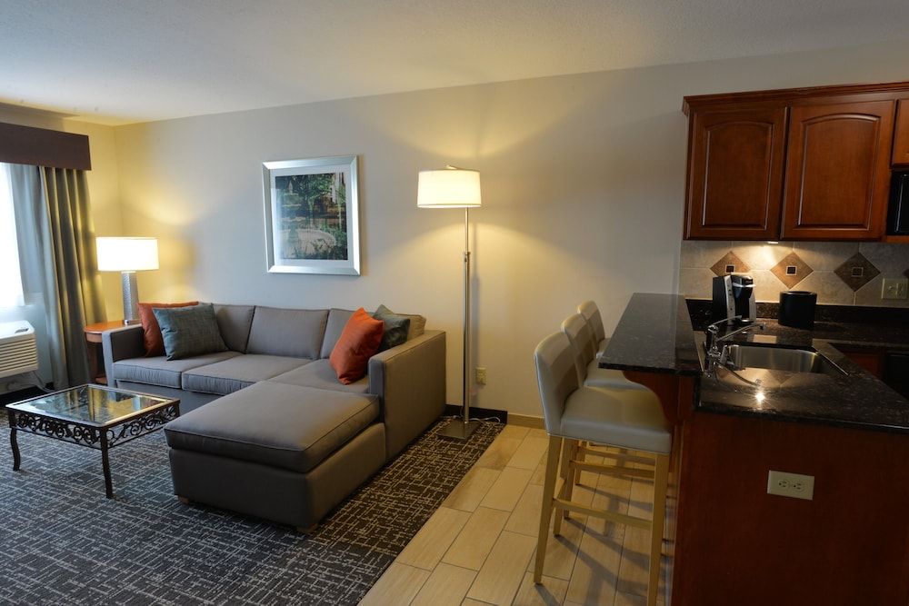 Suite, 1 King Bed with Sofa bed