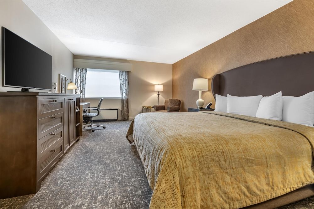 Standard Room, 1 King Bed, Non Smoking (with Sofabed)
