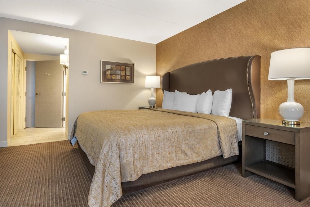 Standard Room, 1 King Bed, Non Smoking