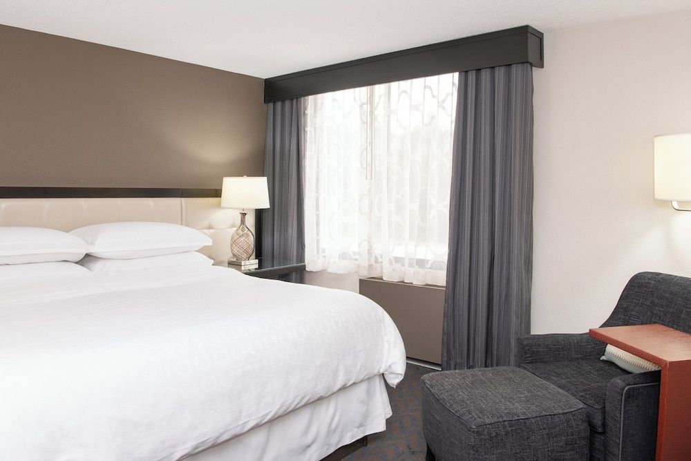 Room, 1 King Bed (Mobility Accessible, Roll-in Shower)