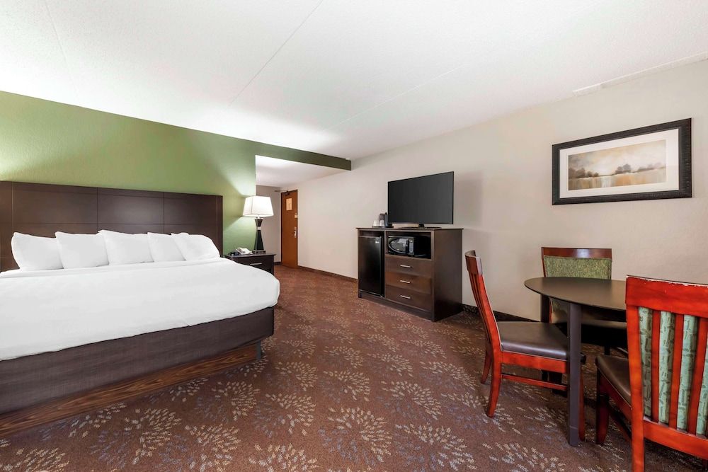 Standard Room, 1 King Bed, Non Smoking, Refrigerator & Microwave (Oversized Room;with Sofabed)