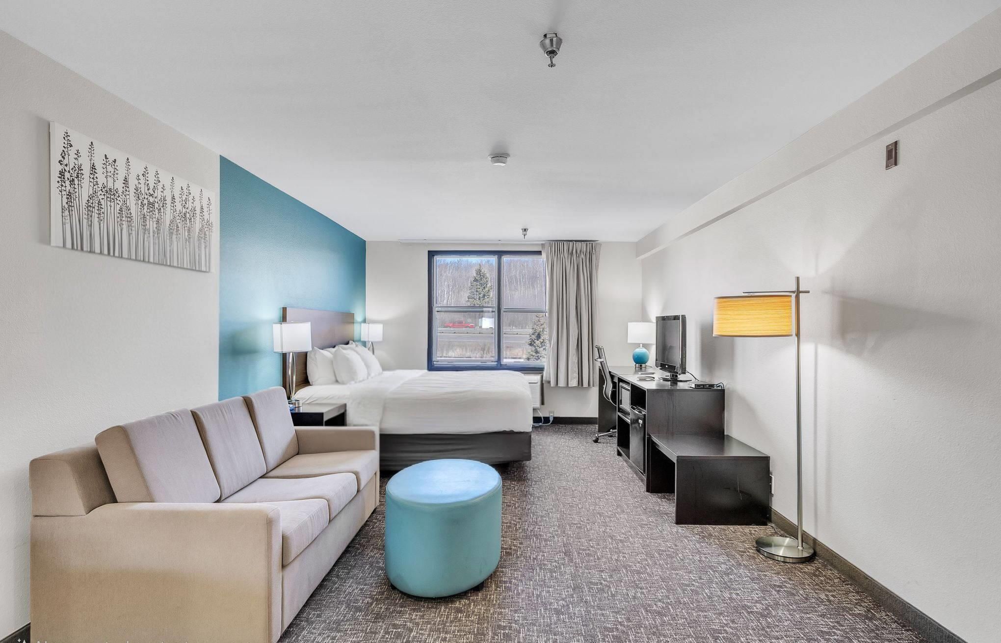1 King Bed, Suite, Nonsmoking
