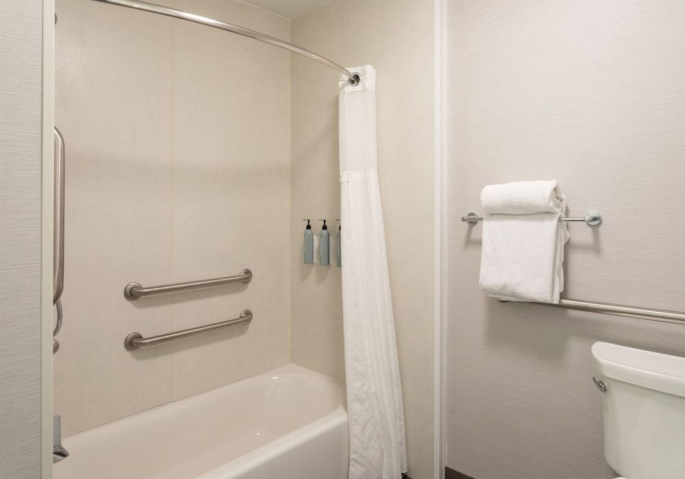 Room, 1 King Bed with Sofa bed, Non Smoking (Mobility/Hearing Accessible, Tub)