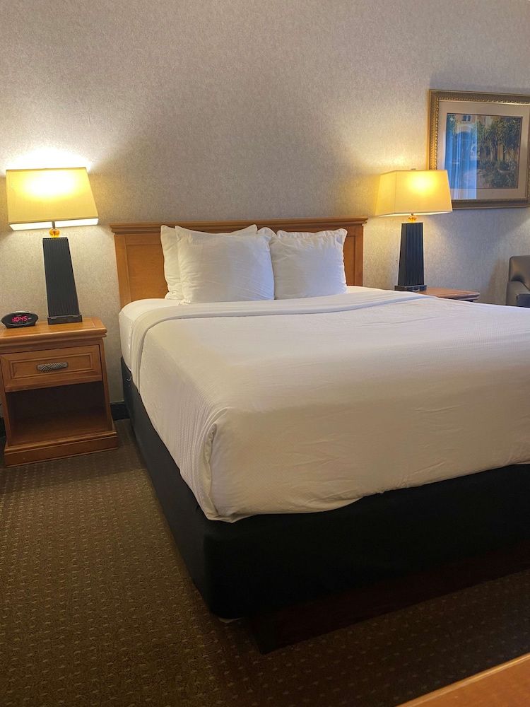 Traditional Room, 1 Queen Bed, Non Smoking, Refrigerator & Microwave