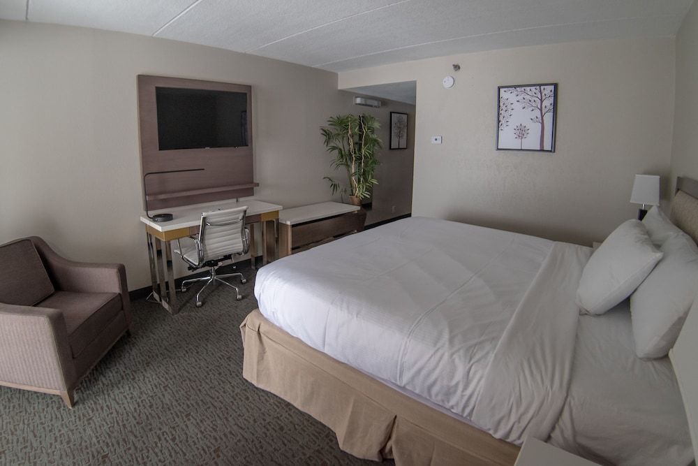 Suite, 1 Bedroom, Non Smoking (Pet Friendly)