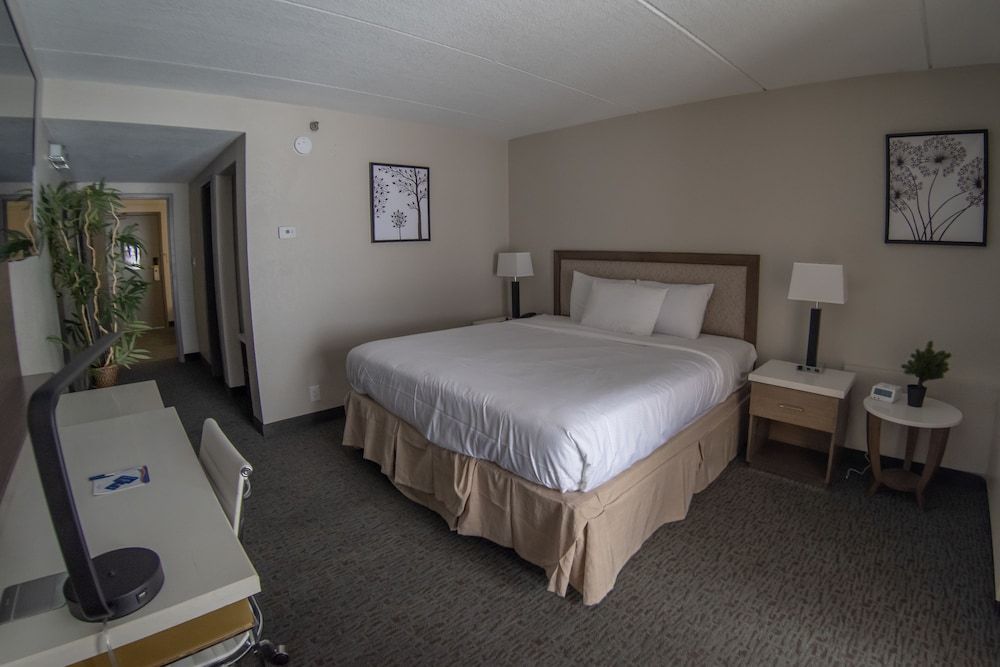 Superior Suite, 1 King Bed, Non Smoking (One Bedroom)