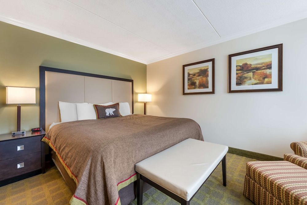 Standard Room, 1 King Bed, Non Smoking, Refrigerator & Microwave
