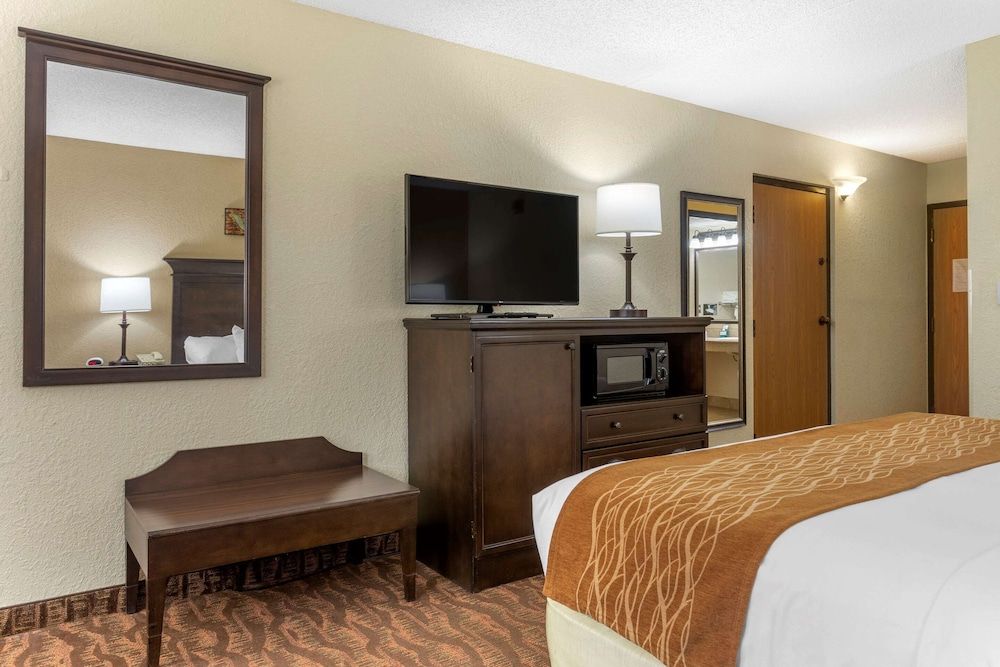 Standard Room, 1 King Bed, Non Smoking