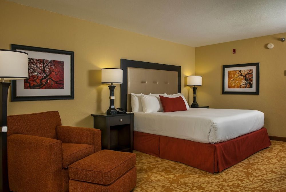 Branson Hillside Hotel Room, 1 King Bed, Accessible, Non Smoking 2