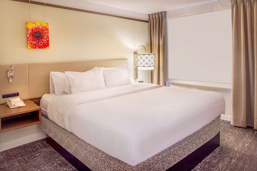Junior Suite, One King Bed, Non-Smoking