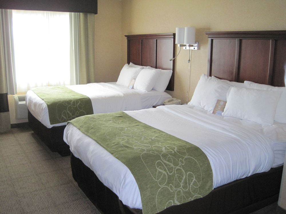 Room, Multiple Beds
