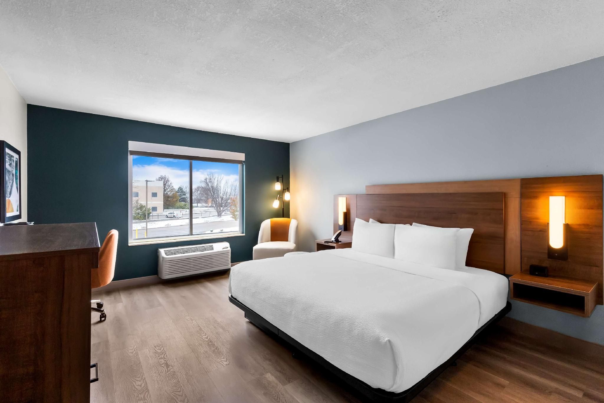 Accessibility - 1 King, Roll-in Shower, Nonsmoking