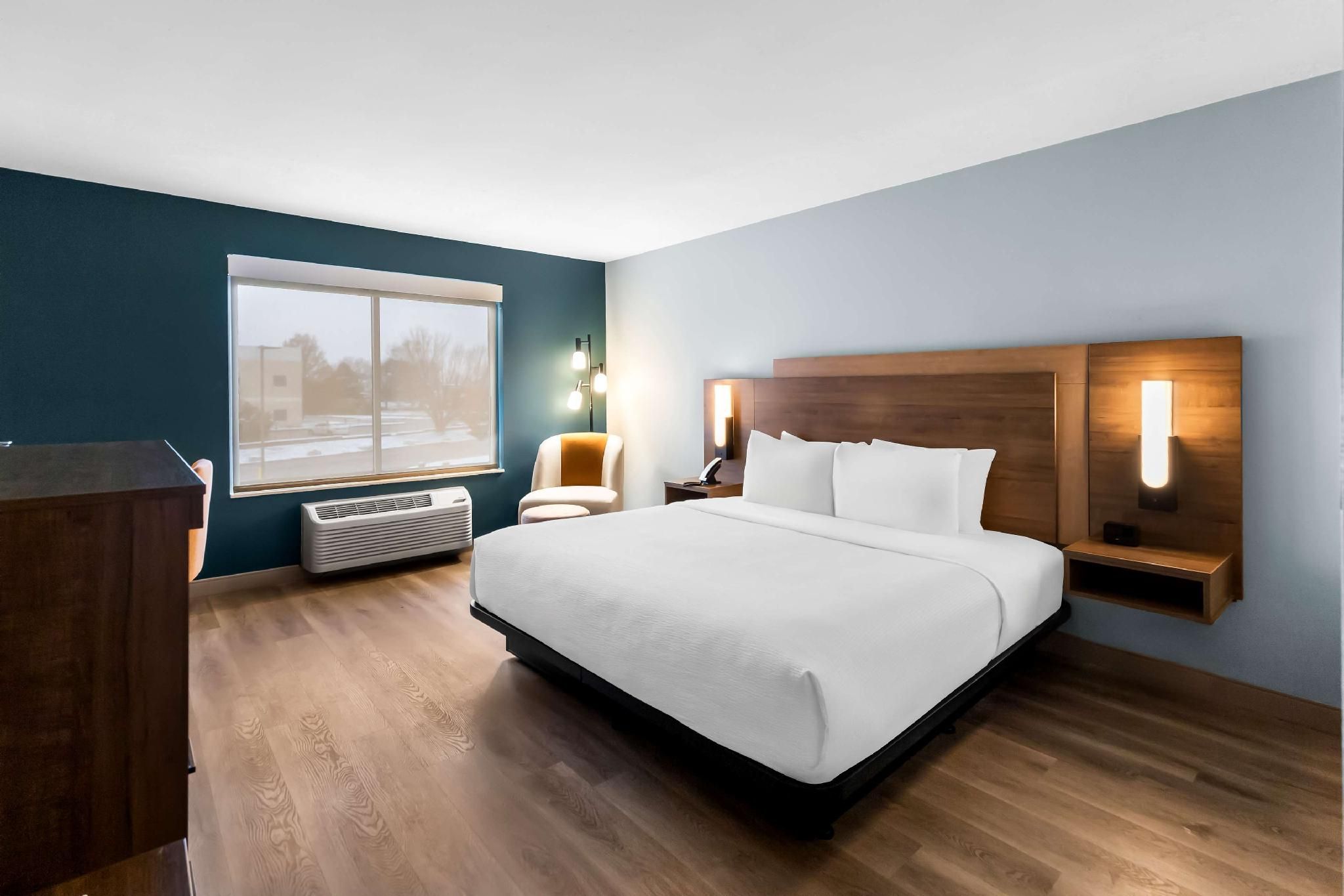 Accessibility - 1 King, Roll-in Shower, Nonsmoking