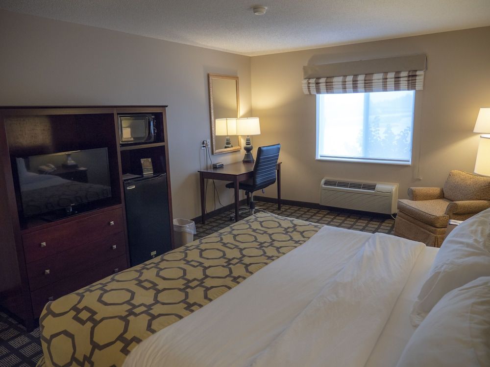 Room, 1 King Bed, Non Smoking