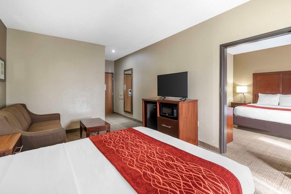 Single Room, 1 King Bed with Sofa bed, Non Smoking