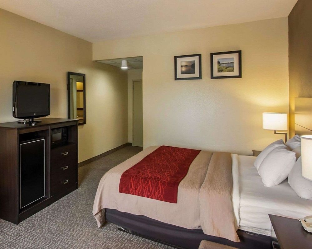 Standard Room, 1 King Bed, Non Smoking