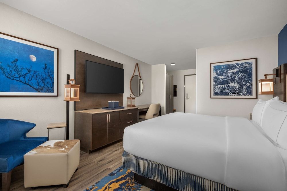 Room, 1 King Bed