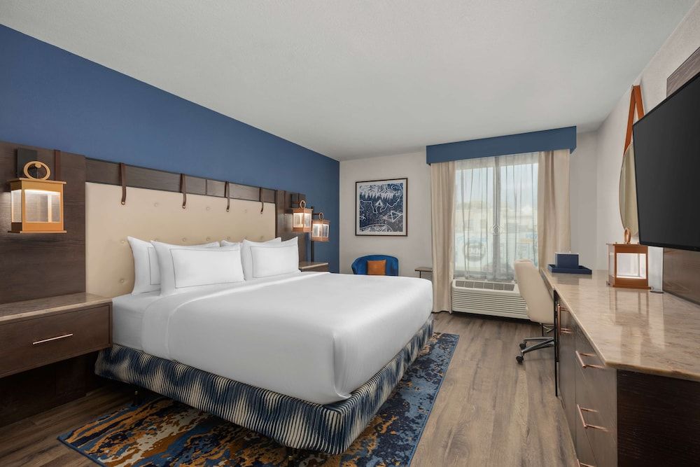 Room, 1 King Bed