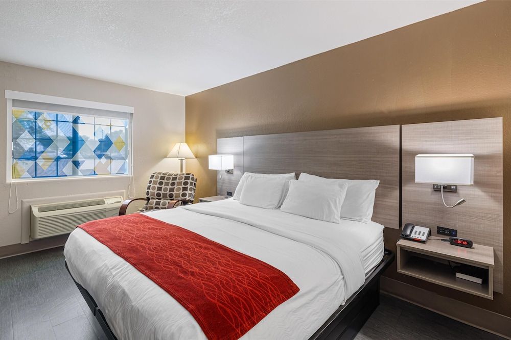 Standard Room, 1 King Bed, Accessible, Non Smoking (Walk-in Shower)