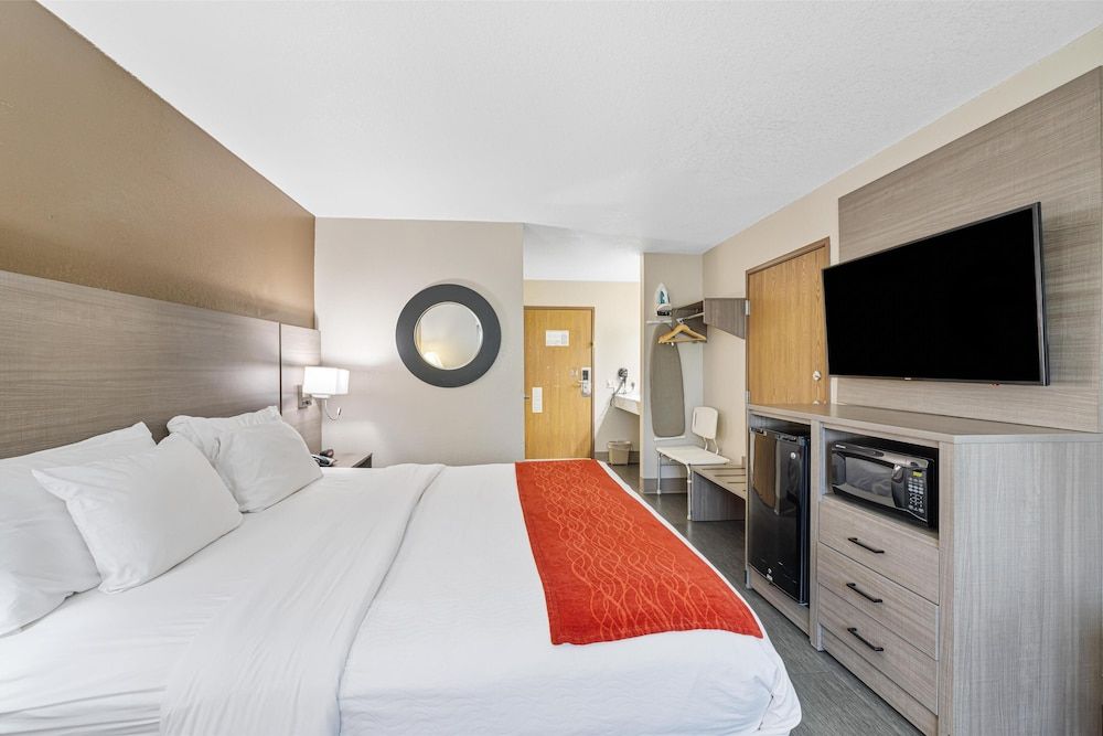 Standard Room, 1 King Bed, Accessible, Non Smoking (Walk-in Shower)