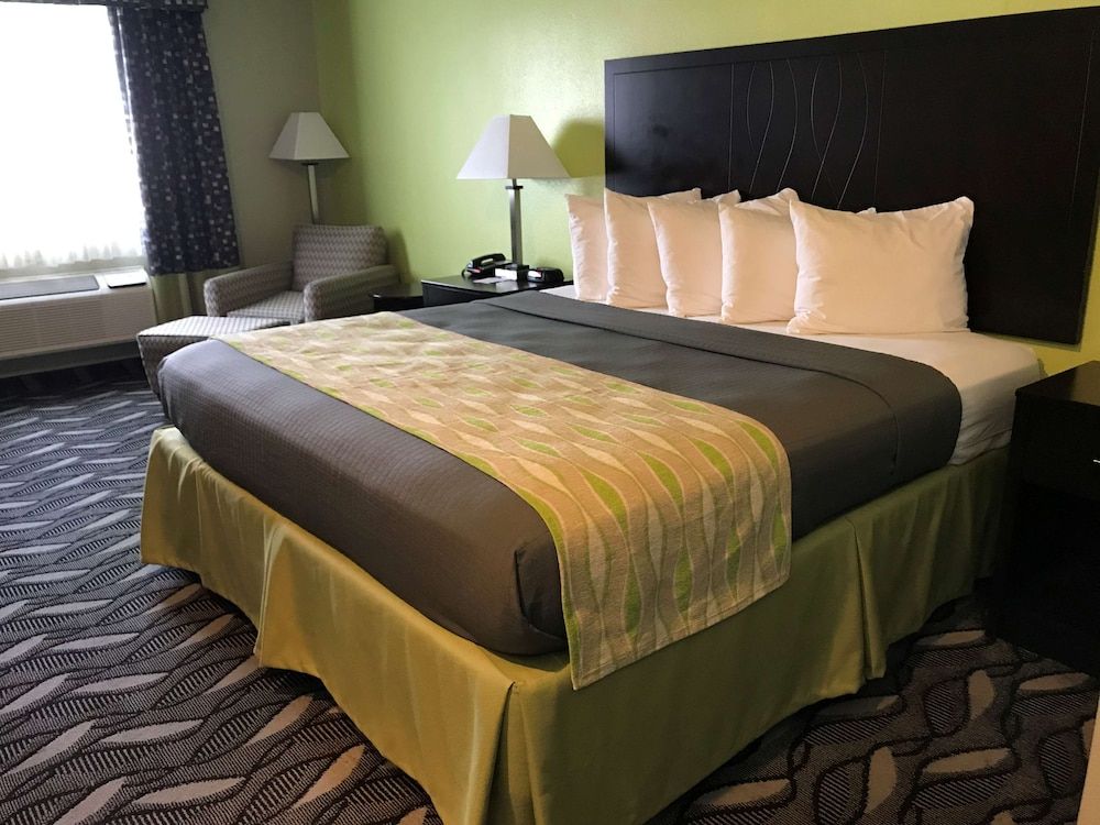Executive Room, 1 King Bed, Non Smoking, Refrigerator & Microwave