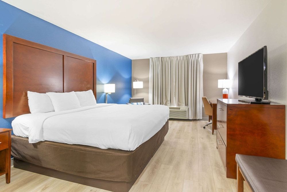 Standard Room, 1 King Bed, Non Smoking