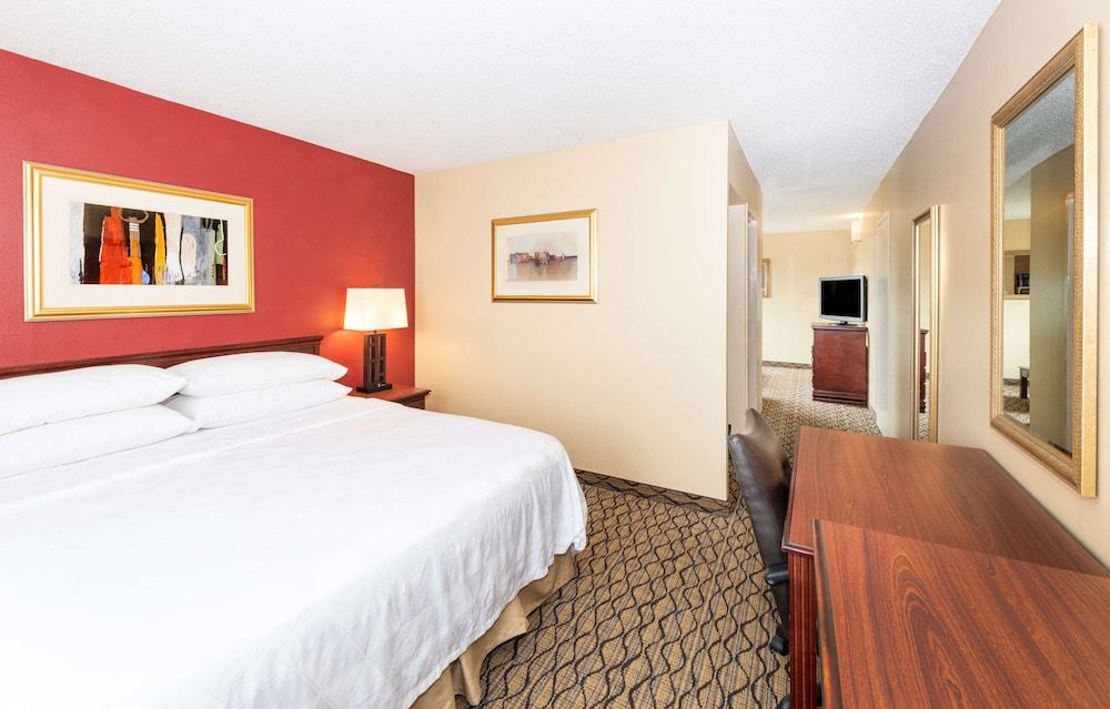 Suite, 1 King Bed, Non Smoking, Refrigerator & Microwave (with Sofabed)